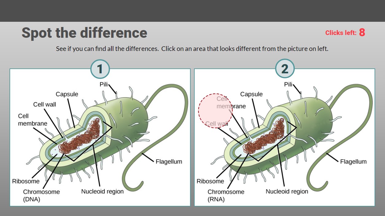 gamified interaction of building a wall against a pathogen