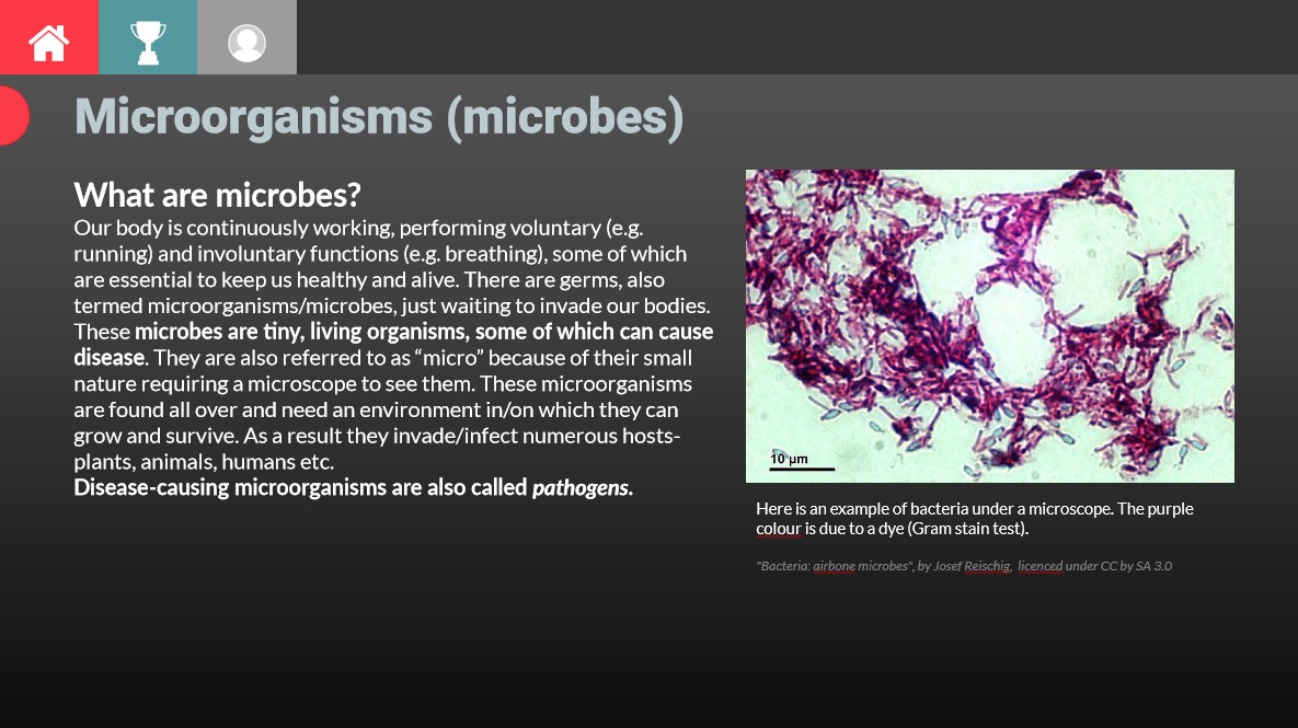 gamified interaction of building a wall against a pathogen